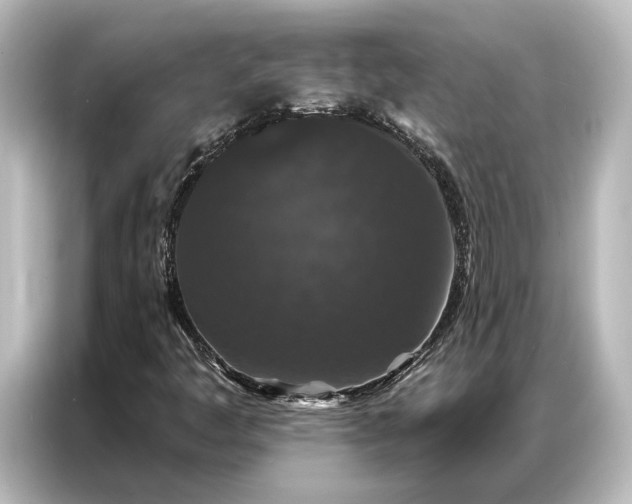 X0000087041445200705021127