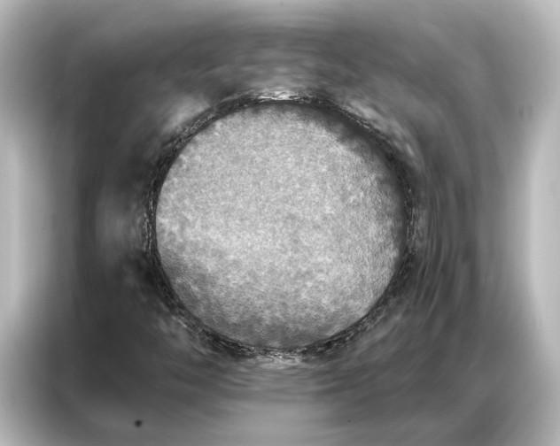X0000087041446200705021127