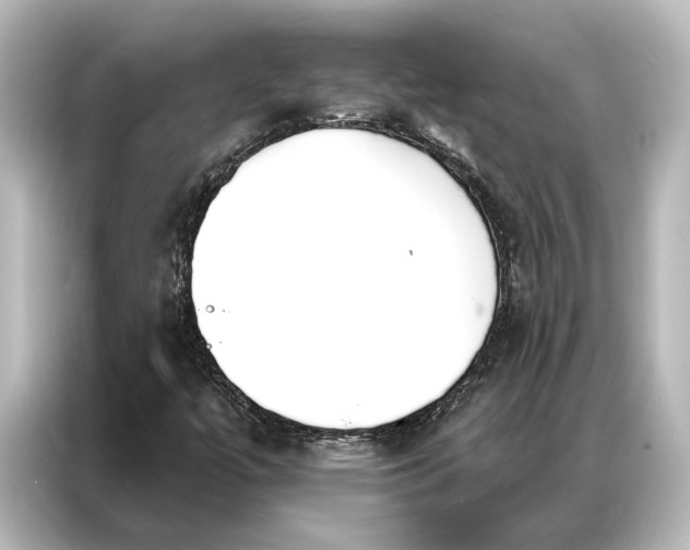X0000087041447200705021127