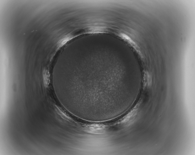 X0000087041449200705021127