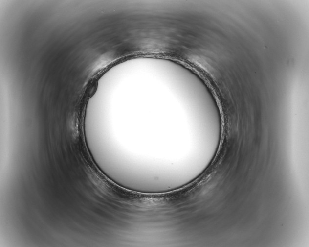 X0000087041451200705021127