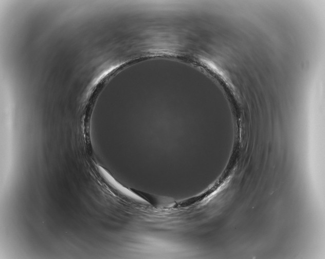 X0000087041453200705021127