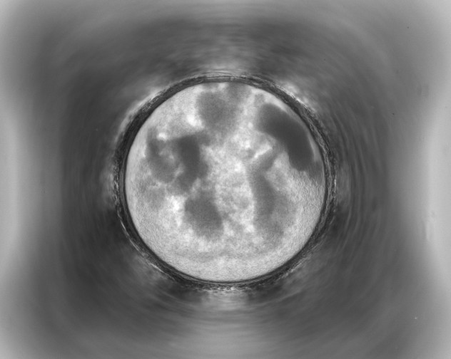 X0000087041454200705021127