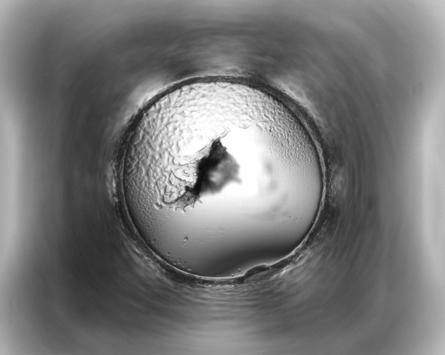 X0000087041455200705021127