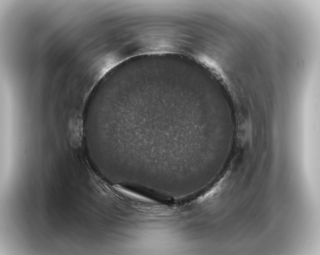 X0000087041457200705021127
