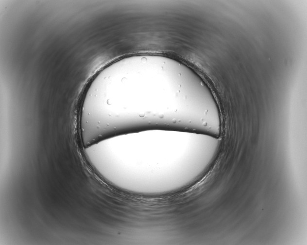 X0000087041459200705021127