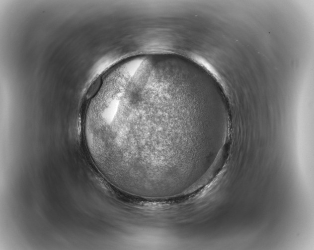 X0000087041461200705021127