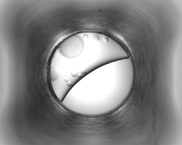 X0000087041463200705021127