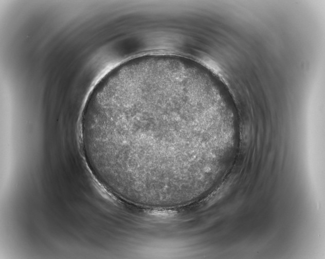 X0000087041466200705021127