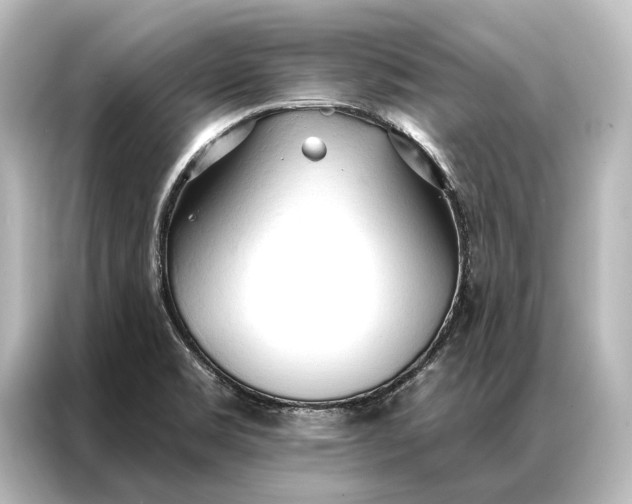 X0000087041469200705021127