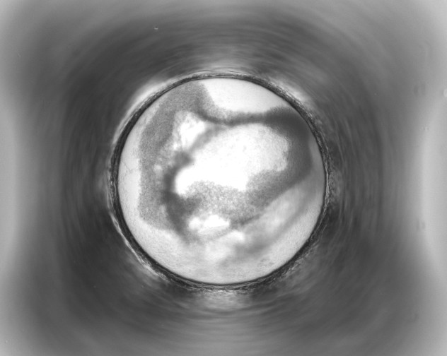 X0000087041470200705021127