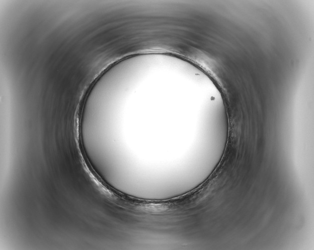 X0000087041476200705021127