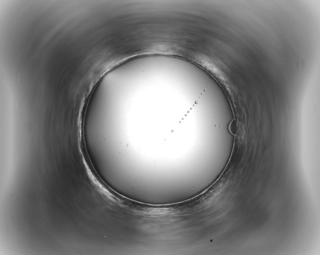 X0000087041479200705021127