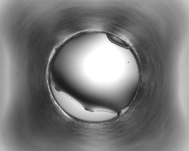 X0000087041480200705021127