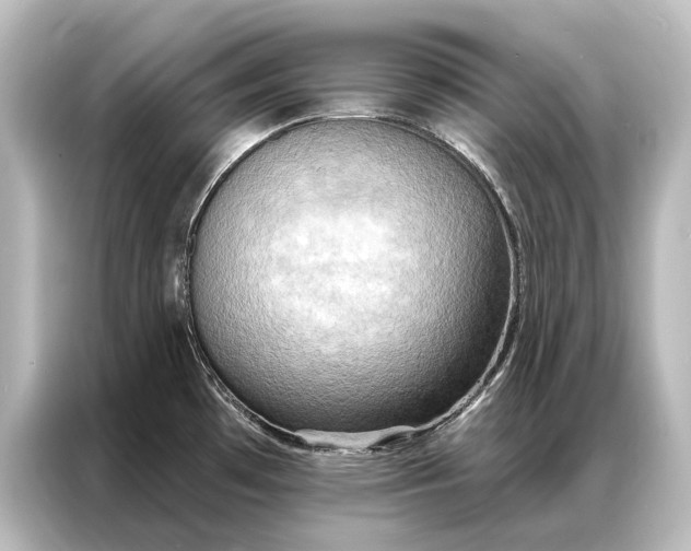 X0000087041481200705021127