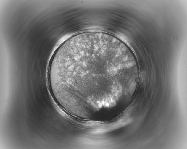 X0000087041482200705021127