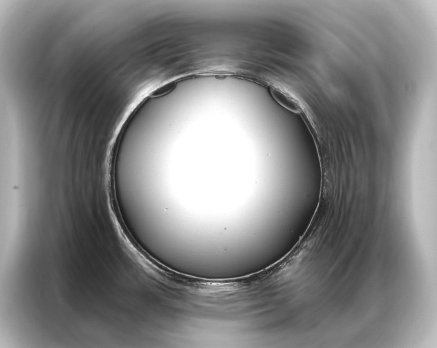 X0000087041483200705021127