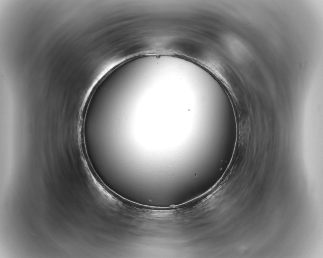X0000087041484200705021127