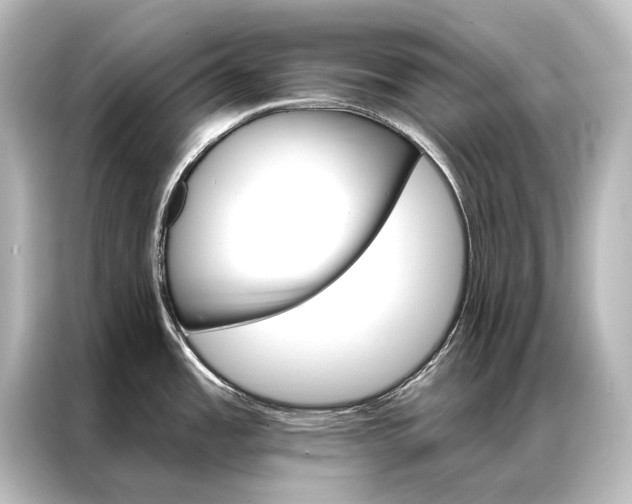 X0000087041485200705021126