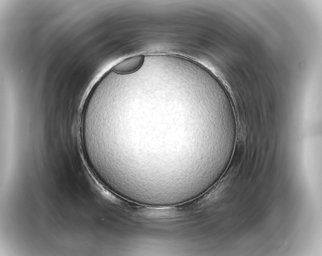 X0000087041486200705021126