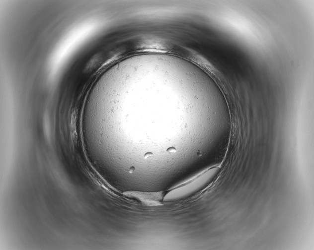 X0000087041487200705021126