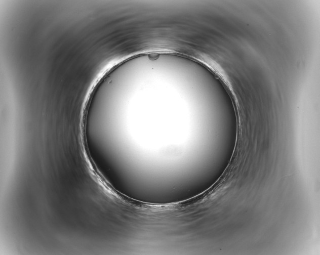 X0000087041488200705021126