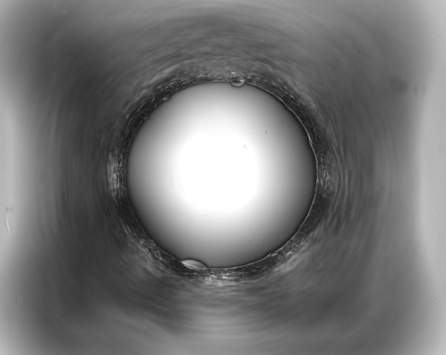 X0000087041490200705021126