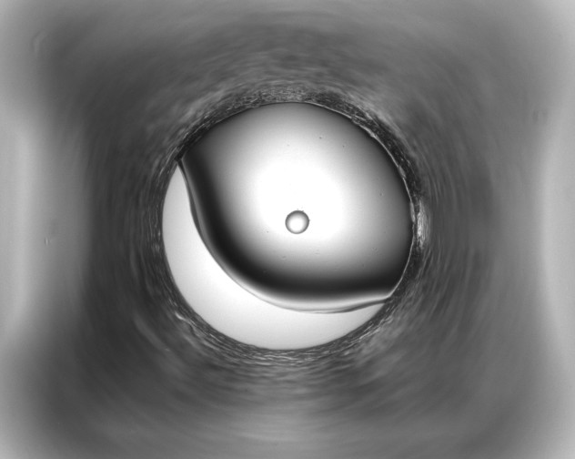 X0000087041492200705021126