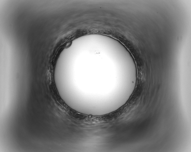X0000087041493200705021126