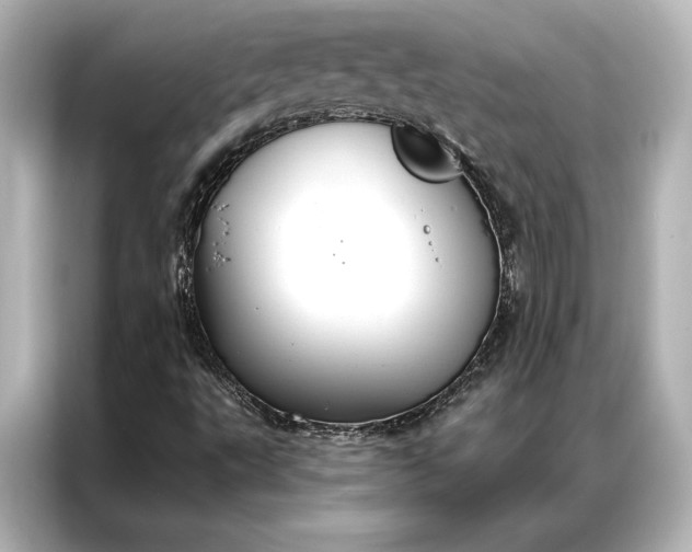 X0000087041495200705021126