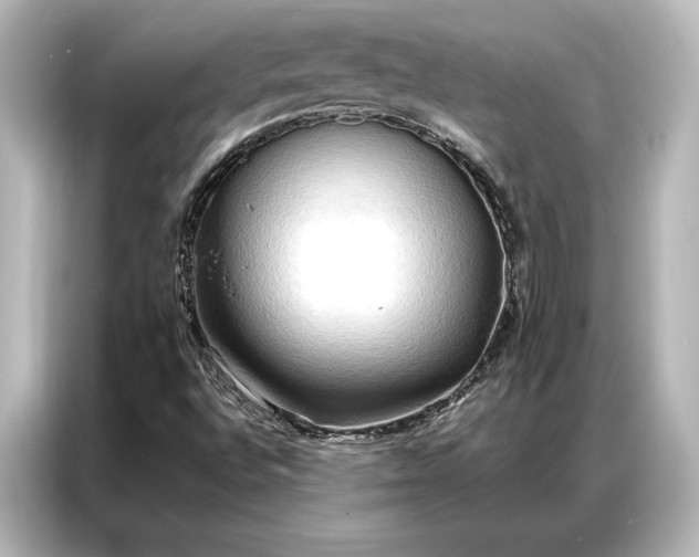 X0000087041496200705021126