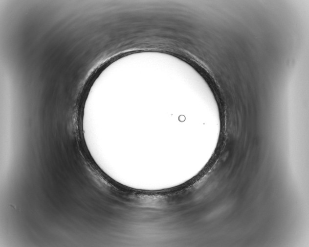 X0000087041498200705021126