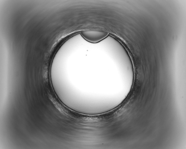 X0000087041499200705021126