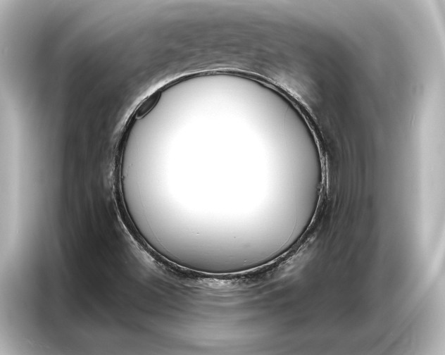 X0000087041500200705021126