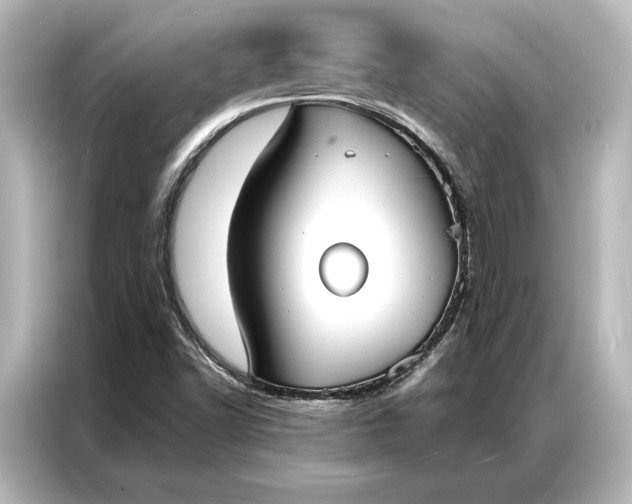 X0000087041502200705021126