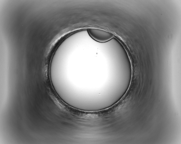 X0000087041503200705021126