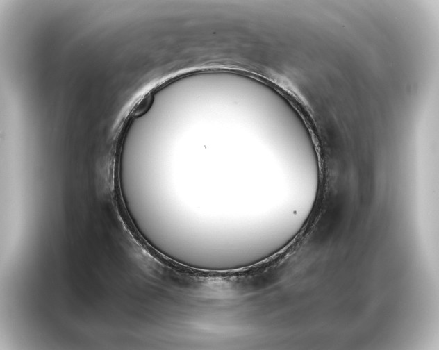 X0000087041504200705021126