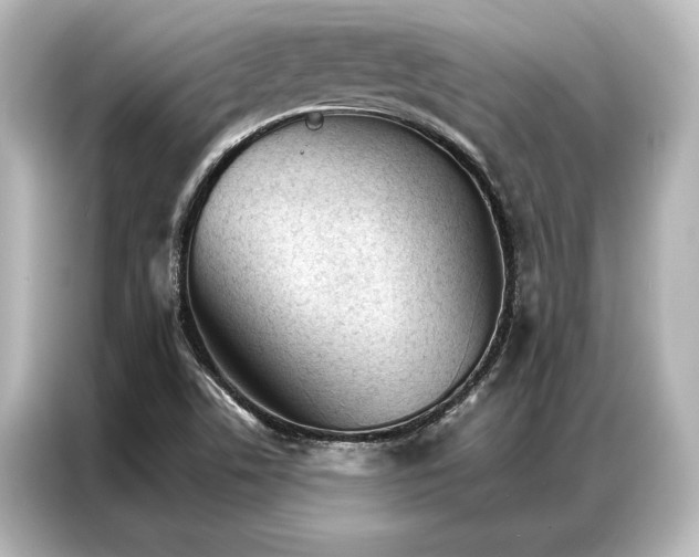 X0000087041506200705021126
