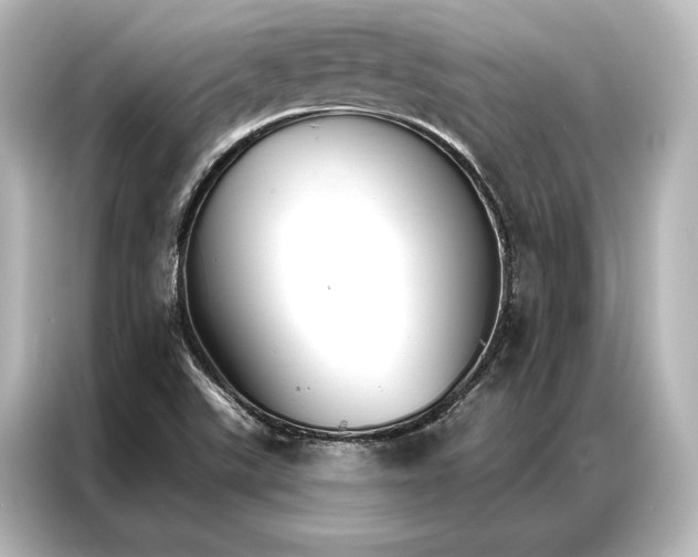 X0000087041507200705021126