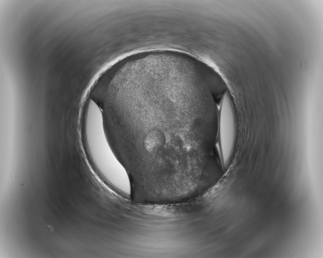 X0000087041508200705021126