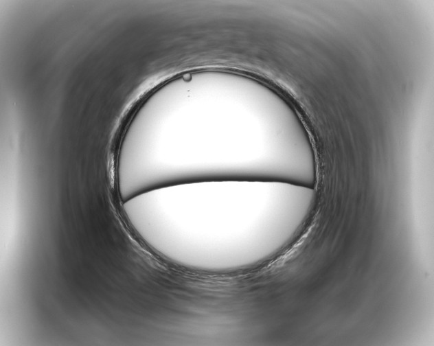 X0000087041509200705021126