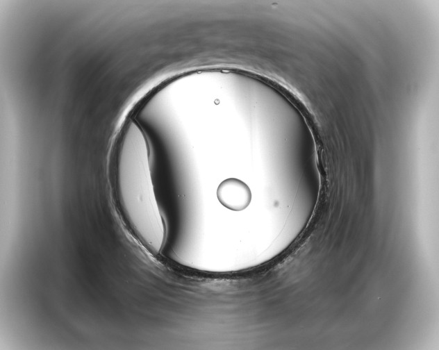 X0000087041510200705021126