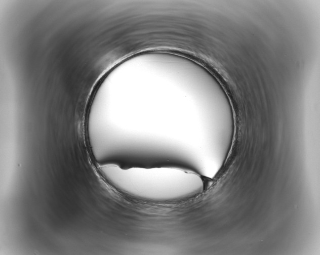 X0000087041513200705021126