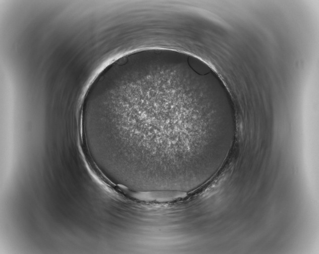 X0000087041515200705021126