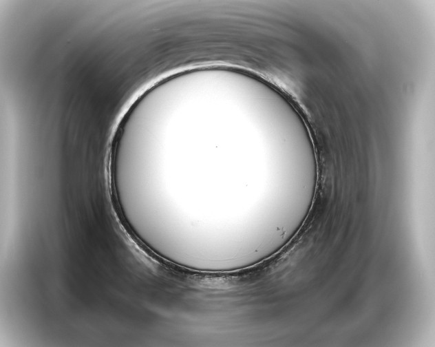 X0000087041516200705021126