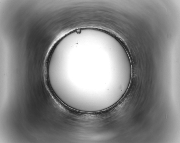 X0000087041517200705021126
