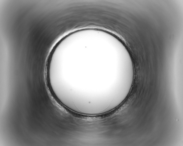 X0000087041518200705021126