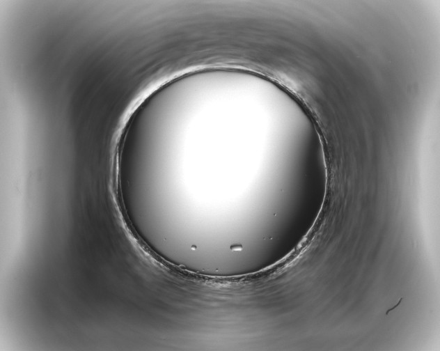 X0000087041520200705021126