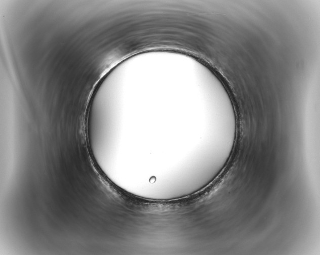 X0000087041521200705021126