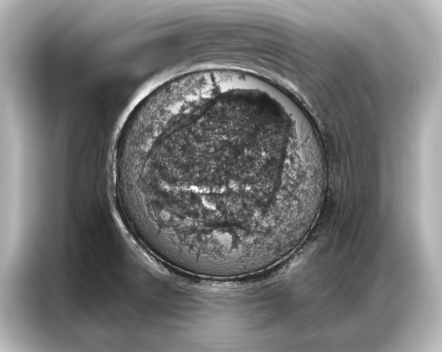 X0000087041522200705021126